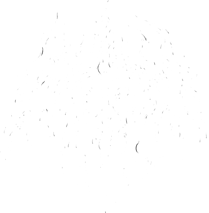 in dex%20illigitimate.jpeg